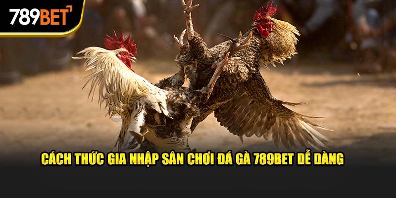 Cách thức gia nhập sân chơi đá gà 789bet dễ dàng